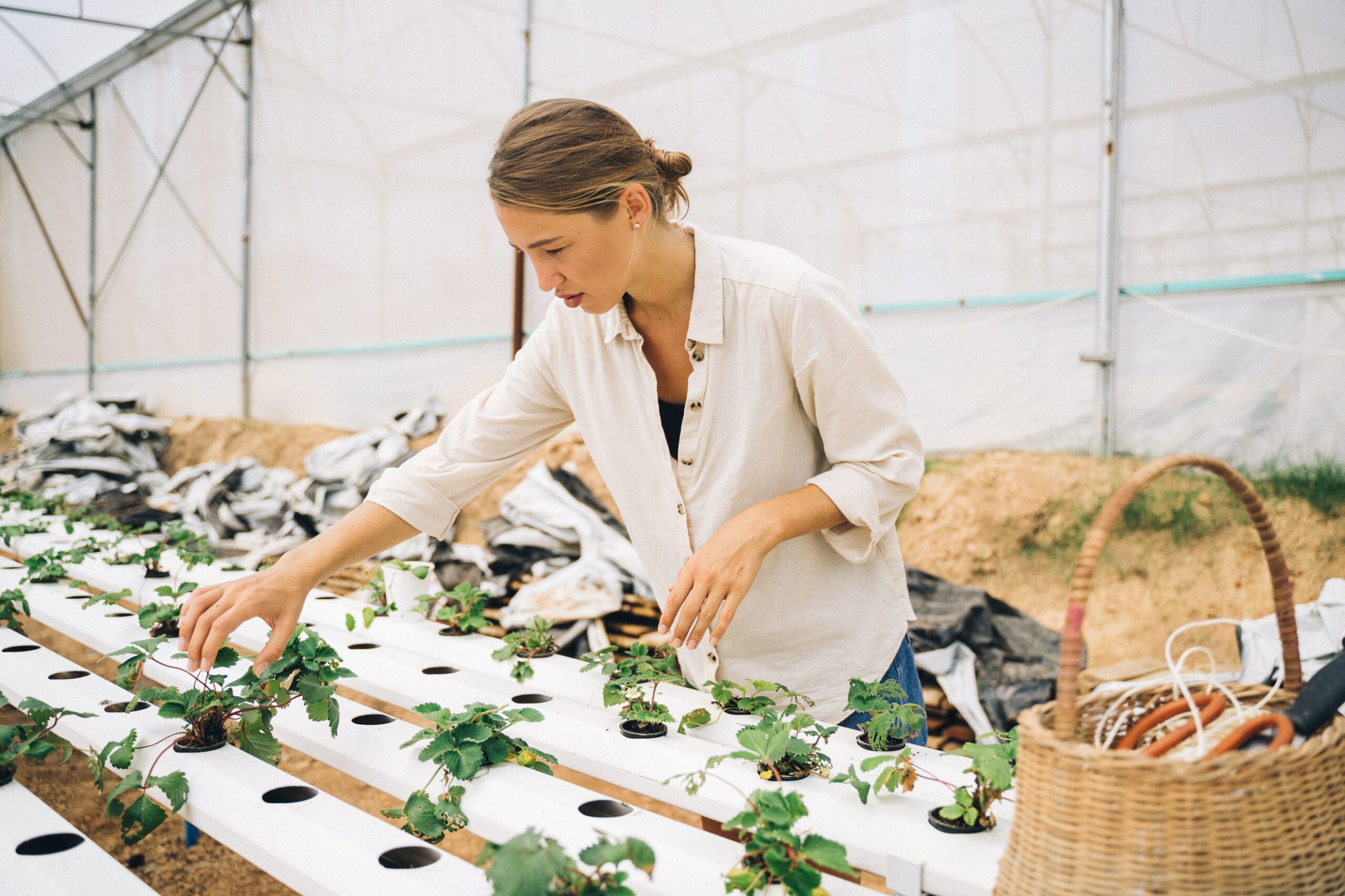 Witajcie , z radością informujemy że uruchamiamy projekt greenbox